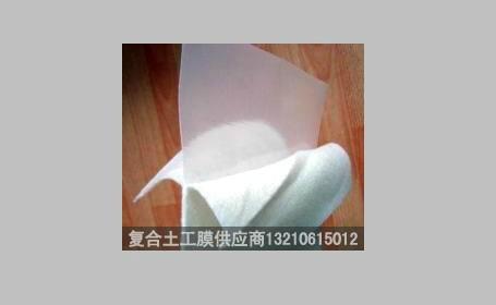 供应土工布复合土工膜 一布一膜和两布一膜,宽幅4-6m