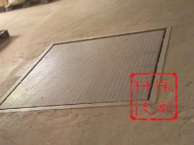 莘庄镇5kg/20t电子磅价格-图